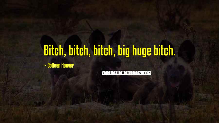 Colleen Hoover Quotes: Bitch, bitch, bitch, big huge bitch.