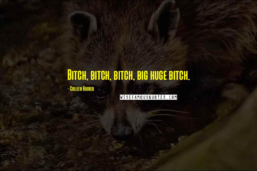 Colleen Hoover Quotes: Bitch, bitch, bitch, big huge bitch.