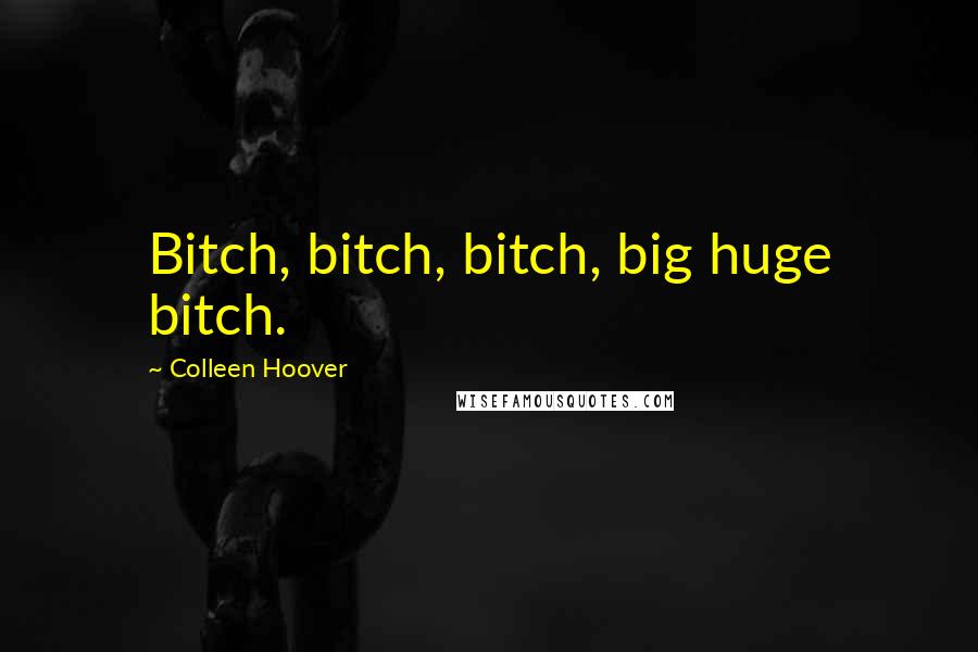 Colleen Hoover Quotes: Bitch, bitch, bitch, big huge bitch.