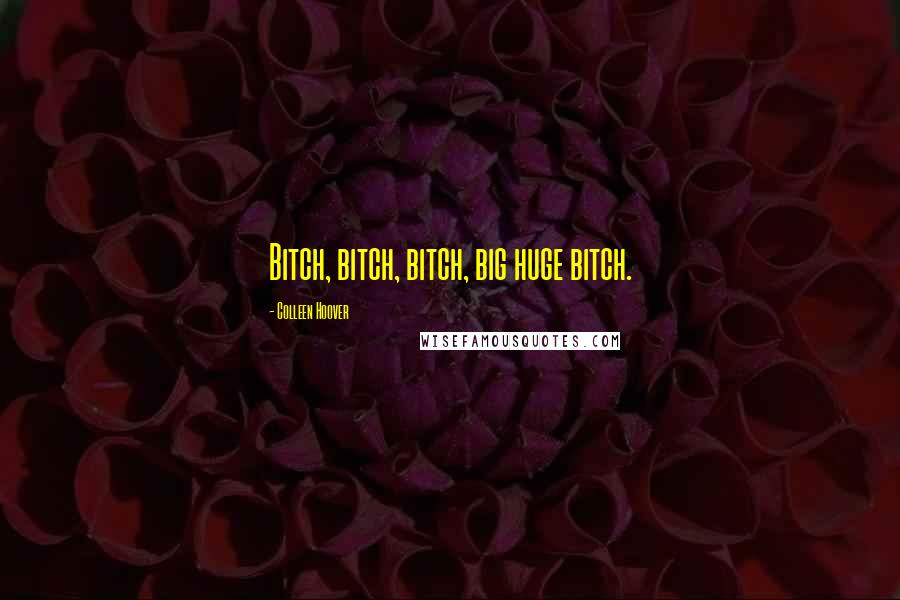 Colleen Hoover Quotes: Bitch, bitch, bitch, big huge bitch.