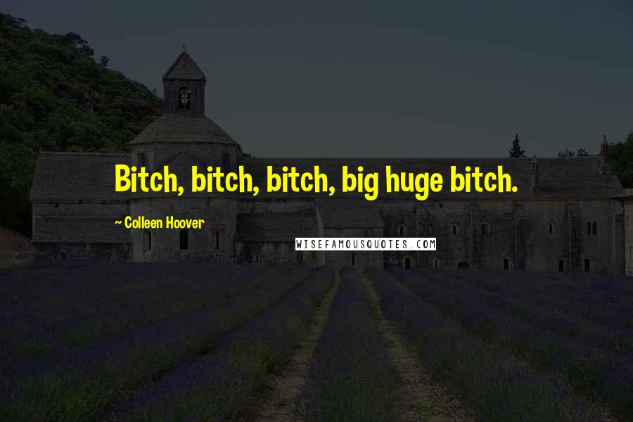Colleen Hoover Quotes: Bitch, bitch, bitch, big huge bitch.