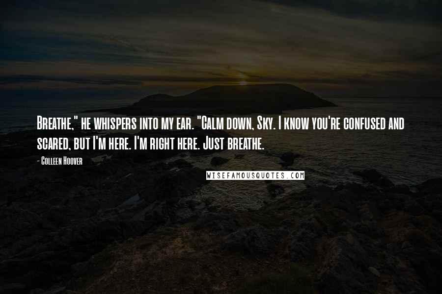 Colleen Hoover Quotes: Breathe," he whispers into my ear. "Calm down, Sky. I know you're confused and scared, but I'm here. I'm right here. Just breathe.