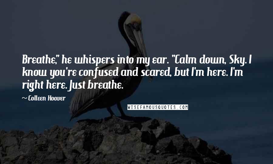 Colleen Hoover Quotes: Breathe," he whispers into my ear. "Calm down, Sky. I know you're confused and scared, but I'm here. I'm right here. Just breathe.