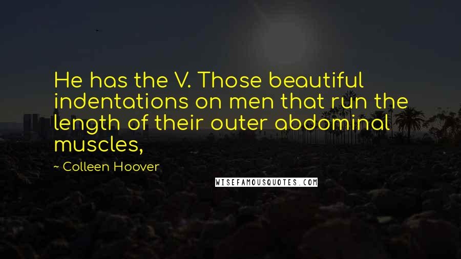 Colleen Hoover Quotes: He has the V. Those beautiful indentations on men that run the length of their outer abdominal muscles,