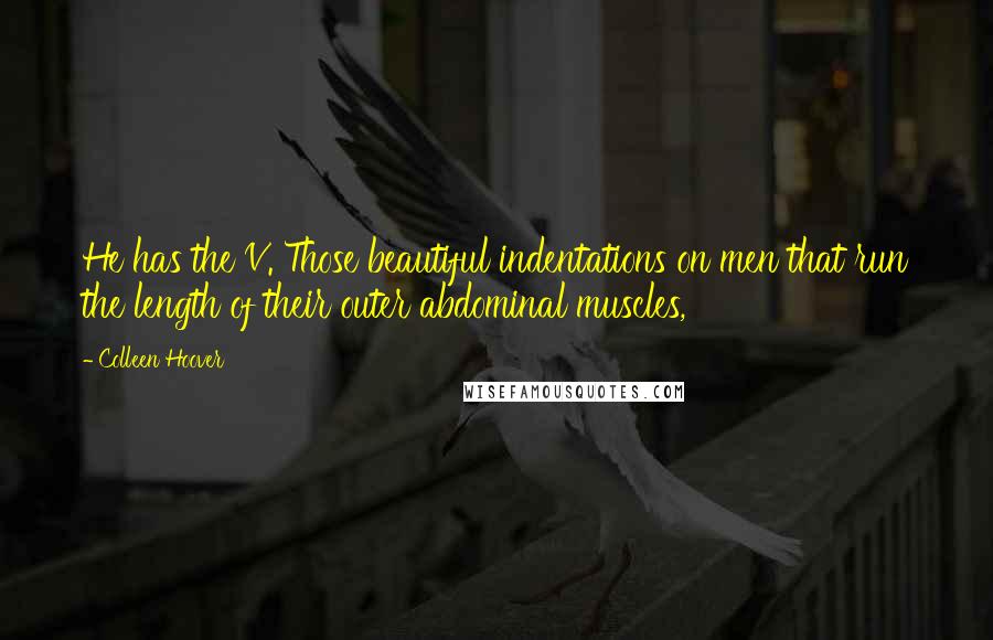 Colleen Hoover Quotes: He has the V. Those beautiful indentations on men that run the length of their outer abdominal muscles,