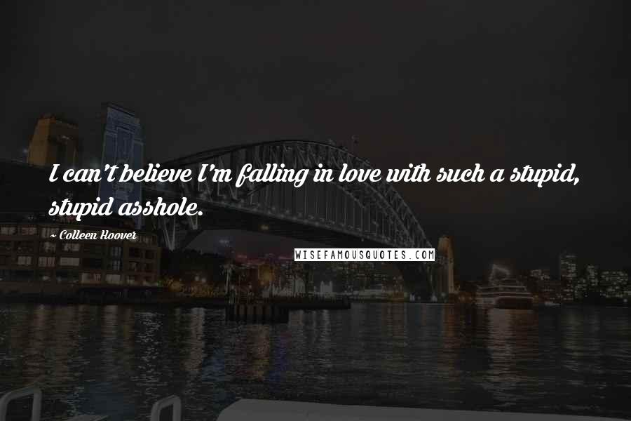 Colleen Hoover Quotes: I can't believe I'm falling in love with such a stupid, stupid asshole.