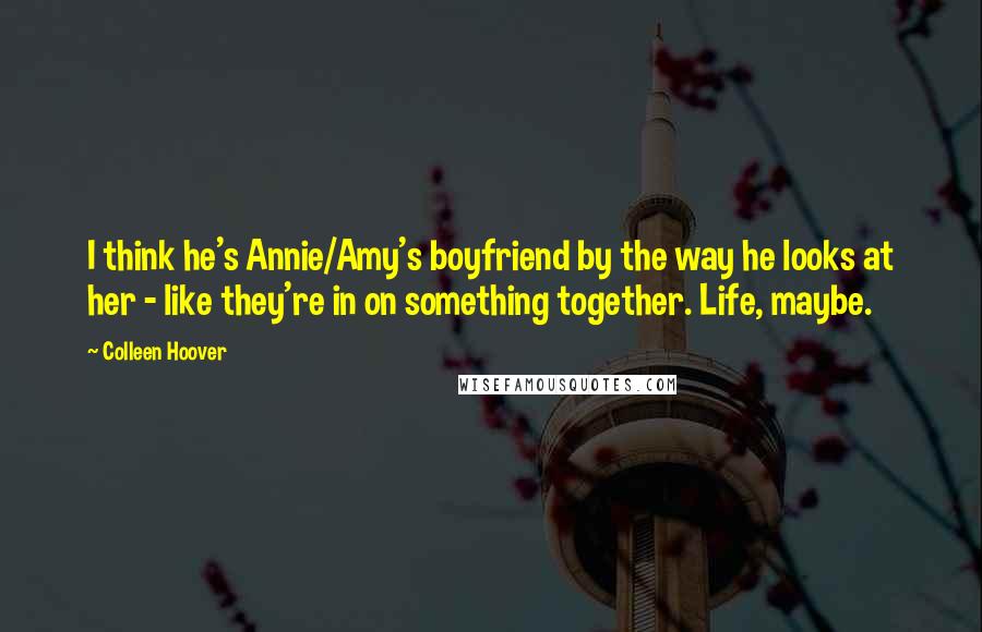 Colleen Hoover Quotes: I think he's Annie/Amy's boyfriend by the way he looks at her - like they're in on something together. Life, maybe.