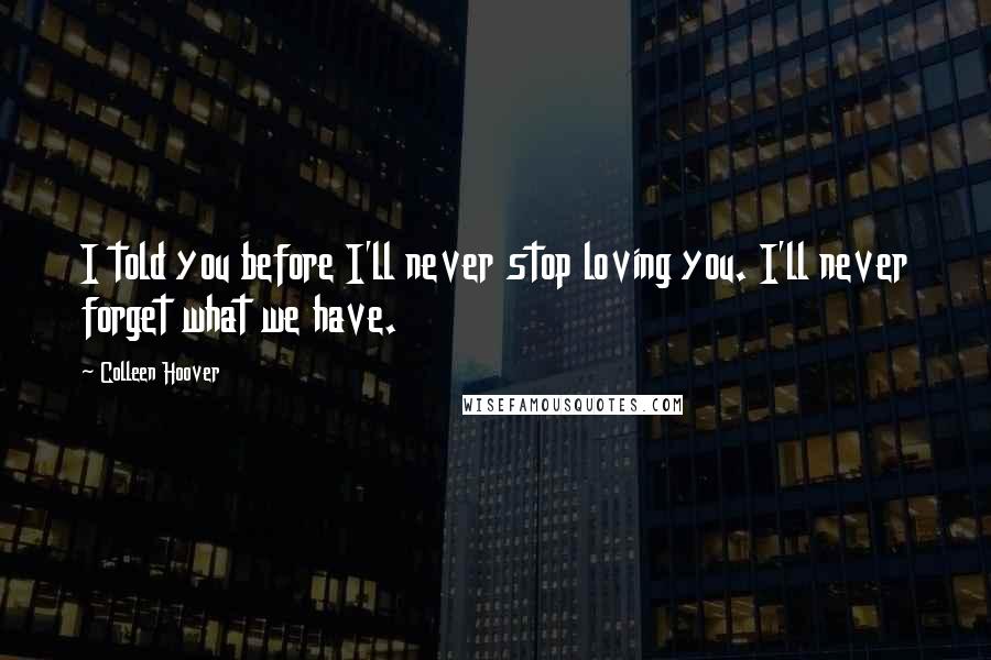 Colleen Hoover Quotes: I told you before I'll never stop loving you. I'll never forget what we have.