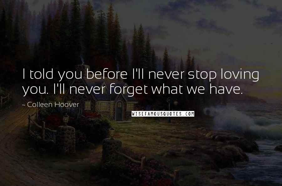 Colleen Hoover Quotes: I told you before I'll never stop loving you. I'll never forget what we have.