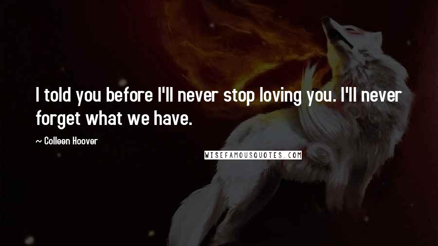 Colleen Hoover Quotes: I told you before I'll never stop loving you. I'll never forget what we have.