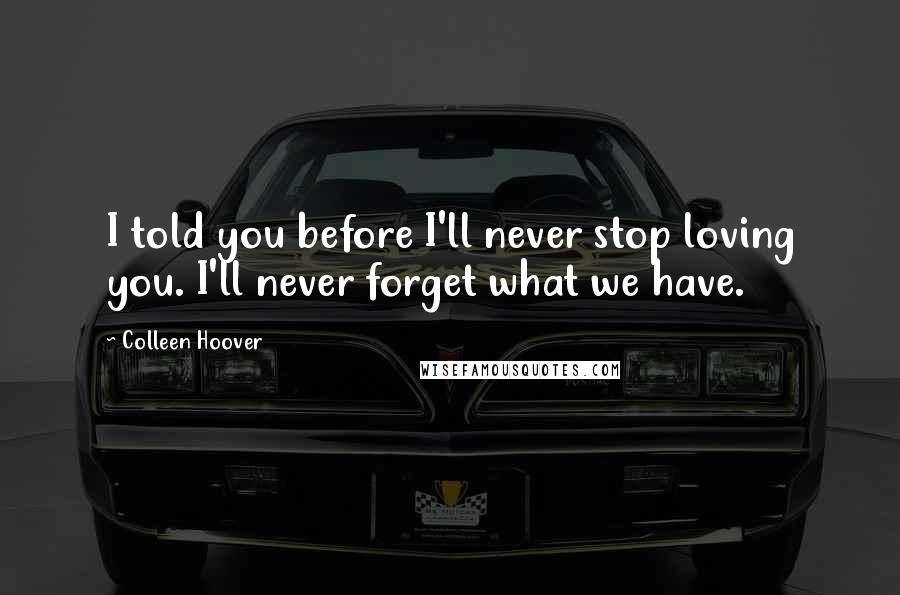 Colleen Hoover Quotes: I told you before I'll never stop loving you. I'll never forget what we have.