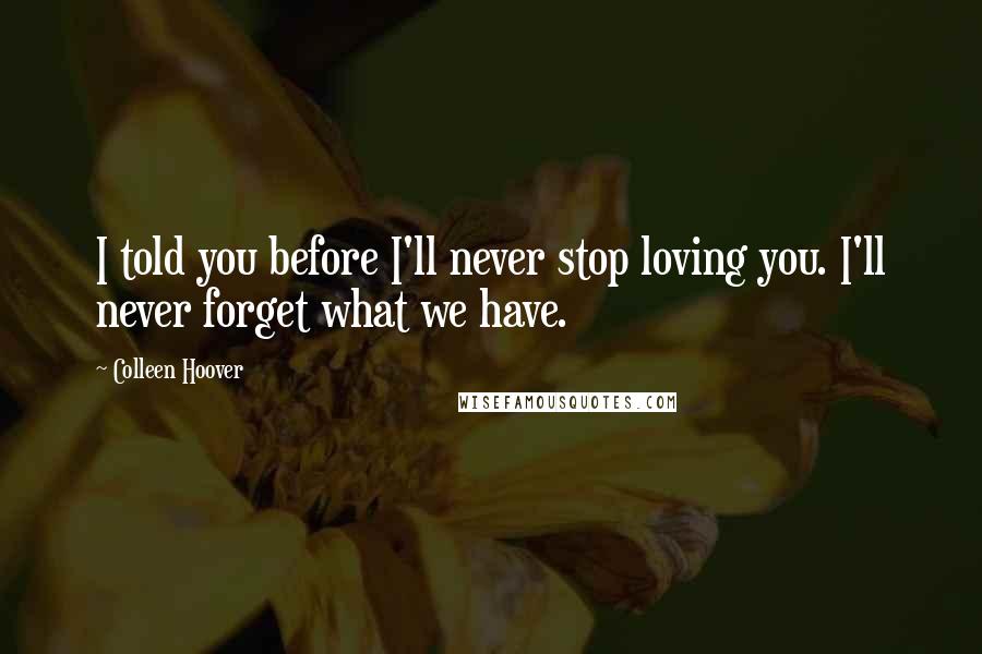 Colleen Hoover Quotes: I told you before I'll never stop loving you. I'll never forget what we have.