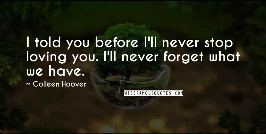 Colleen Hoover Quotes: I told you before I'll never stop loving you. I'll never forget what we have.