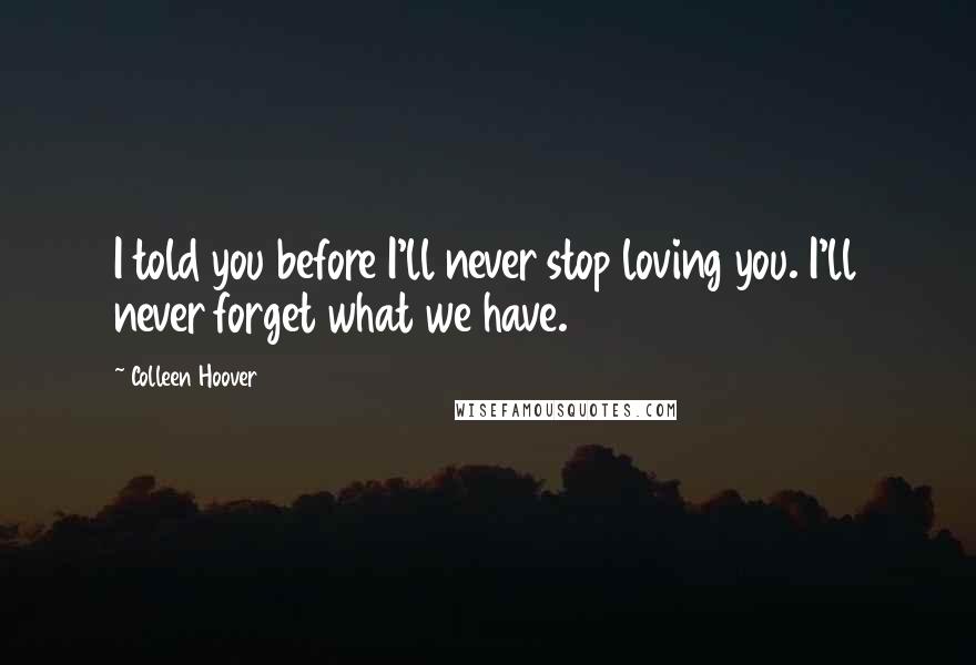 Colleen Hoover Quotes: I told you before I'll never stop loving you. I'll never forget what we have.
