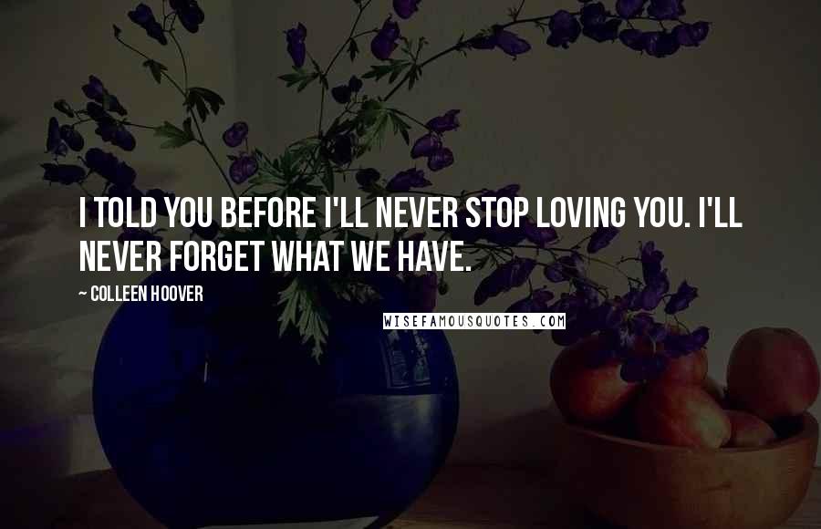 Colleen Hoover Quotes: I told you before I'll never stop loving you. I'll never forget what we have.