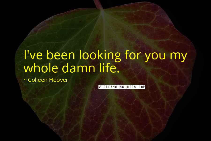 Colleen Hoover Quotes: I've been looking for you my whole damn life.