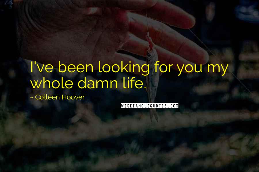 Colleen Hoover Quotes: I've been looking for you my whole damn life.