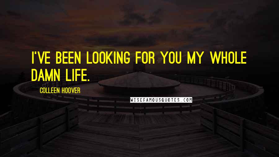 Colleen Hoover Quotes: I've been looking for you my whole damn life.