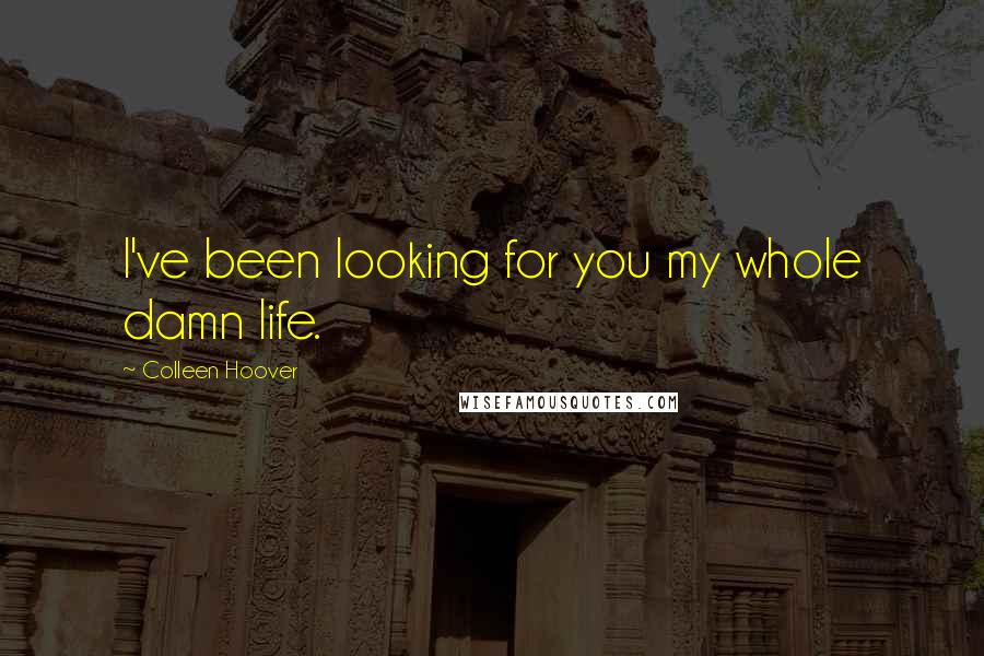 Colleen Hoover Quotes: I've been looking for you my whole damn life.