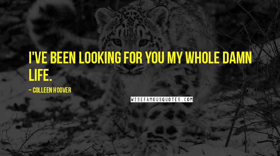 Colleen Hoover Quotes: I've been looking for you my whole damn life.