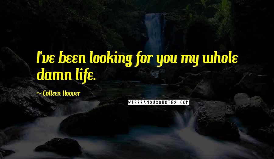 Colleen Hoover Quotes: I've been looking for you my whole damn life.