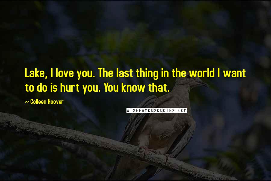 Colleen Hoover Quotes: Lake, I love you. The last thing in the world I want to do is hurt you. You know that.
