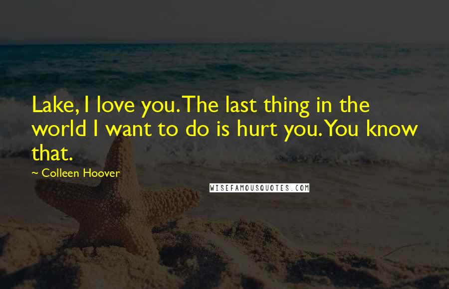 Colleen Hoover Quotes: Lake, I love you. The last thing in the world I want to do is hurt you. You know that.