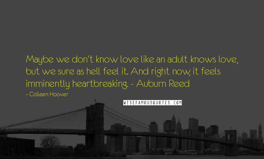 Colleen Hoover Quotes: Maybe we don't know love like an adult knows love, but we sure as hell feel it. And right now, it feels imminently heartbreaking. - Auburn Reed