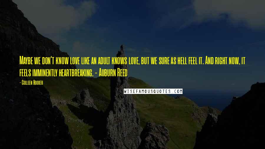 Colleen Hoover Quotes: Maybe we don't know love like an adult knows love, but we sure as hell feel it. And right now, it feels imminently heartbreaking. - Auburn Reed