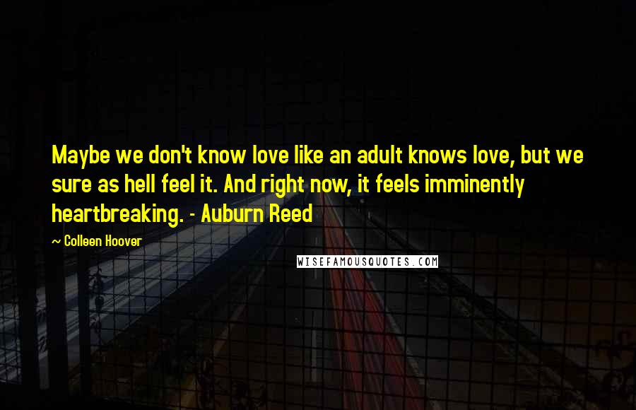 Colleen Hoover Quotes: Maybe we don't know love like an adult knows love, but we sure as hell feel it. And right now, it feels imminently heartbreaking. - Auburn Reed
