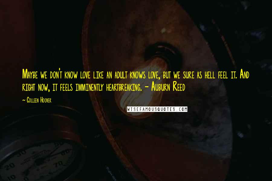 Colleen Hoover Quotes: Maybe we don't know love like an adult knows love, but we sure as hell feel it. And right now, it feels imminently heartbreaking. - Auburn Reed
