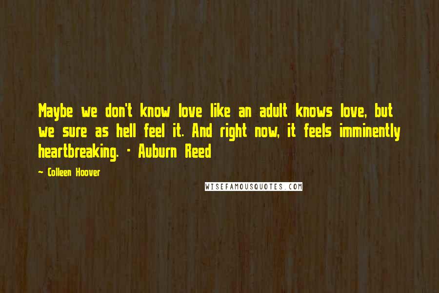 Colleen Hoover Quotes: Maybe we don't know love like an adult knows love, but we sure as hell feel it. And right now, it feels imminently heartbreaking. - Auburn Reed