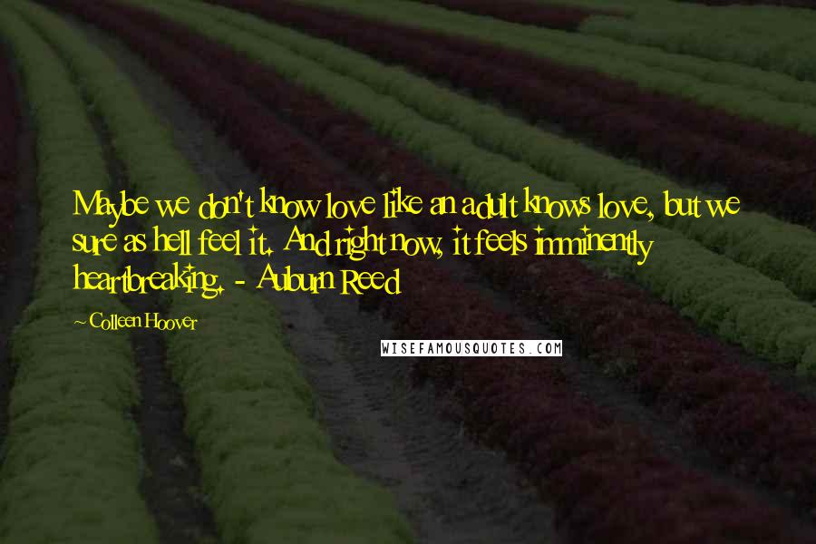 Colleen Hoover Quotes: Maybe we don't know love like an adult knows love, but we sure as hell feel it. And right now, it feels imminently heartbreaking. - Auburn Reed