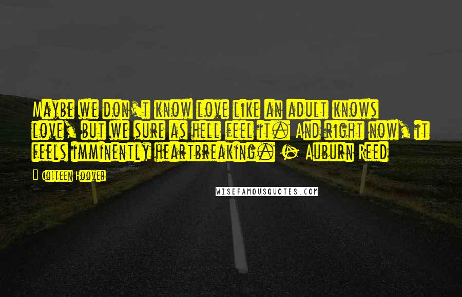 Colleen Hoover Quotes: Maybe we don't know love like an adult knows love, but we sure as hell feel it. And right now, it feels imminently heartbreaking. - Auburn Reed