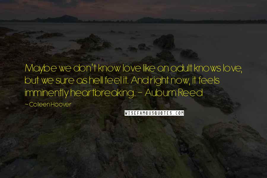 Colleen Hoover Quotes: Maybe we don't know love like an adult knows love, but we sure as hell feel it. And right now, it feels imminently heartbreaking. - Auburn Reed