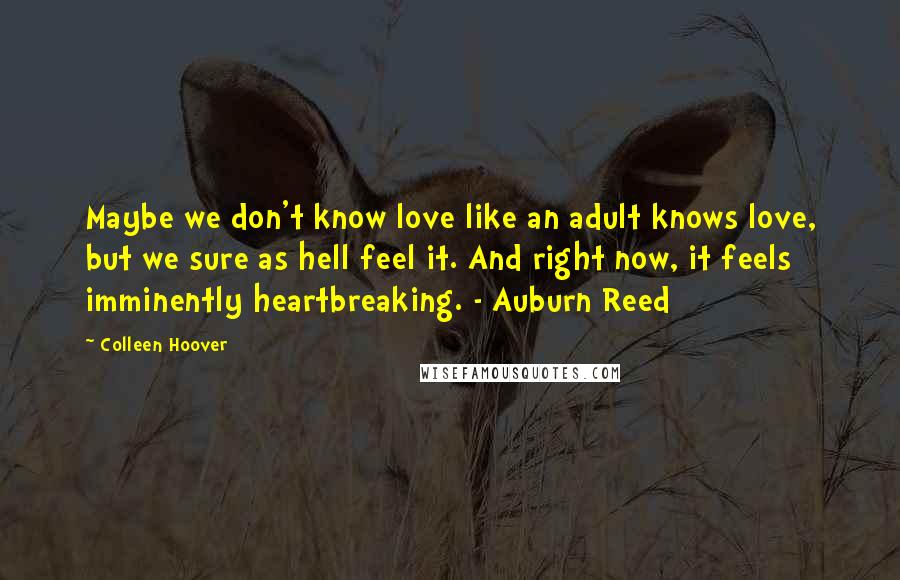 Colleen Hoover Quotes: Maybe we don't know love like an adult knows love, but we sure as hell feel it. And right now, it feels imminently heartbreaking. - Auburn Reed