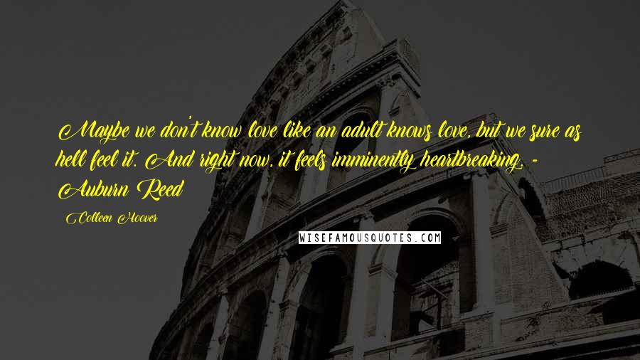 Colleen Hoover Quotes: Maybe we don't know love like an adult knows love, but we sure as hell feel it. And right now, it feels imminently heartbreaking. - Auburn Reed