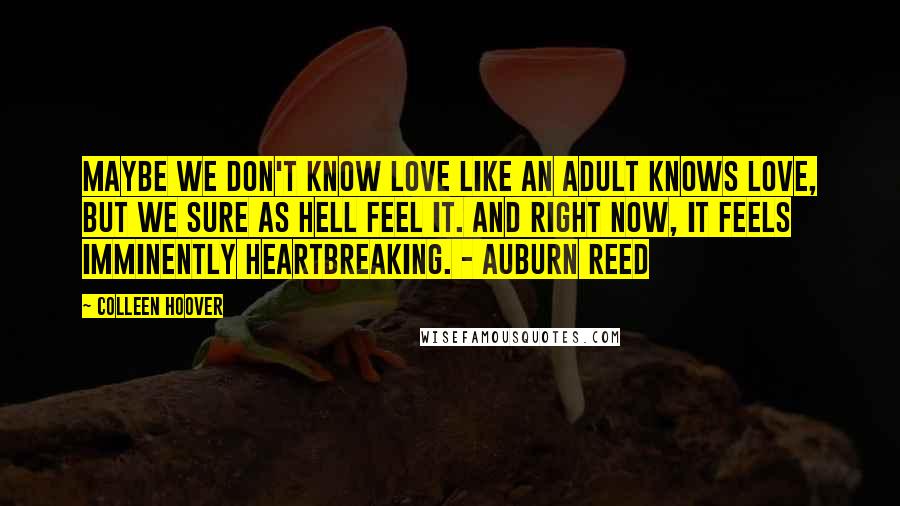 Colleen Hoover Quotes: Maybe we don't know love like an adult knows love, but we sure as hell feel it. And right now, it feels imminently heartbreaking. - Auburn Reed