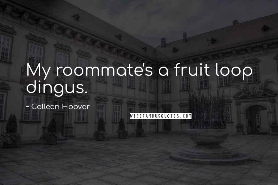 Colleen Hoover Quotes: My roommate's a fruit loop dingus.