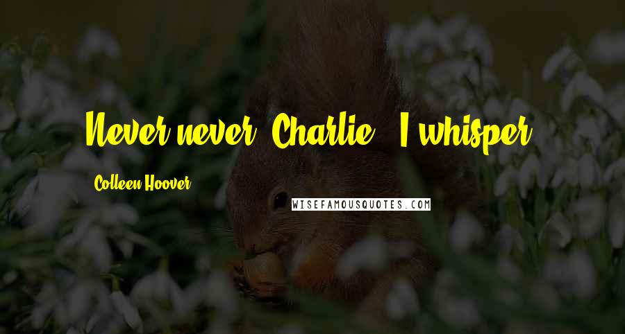 Colleen Hoover Quotes: Never never, Charlie," I whisper.