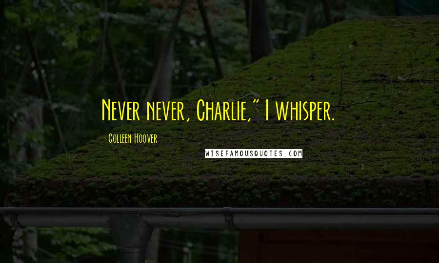 Colleen Hoover Quotes: Never never, Charlie," I whisper.