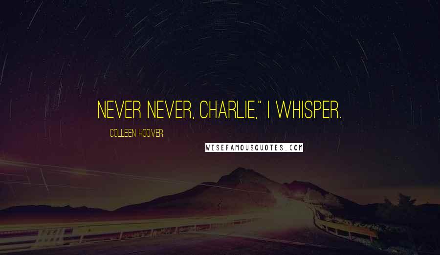 Colleen Hoover Quotes: Never never, Charlie," I whisper.
