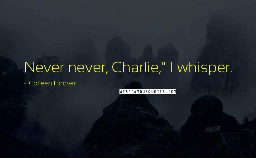 Colleen Hoover Quotes: Never never, Charlie," I whisper.