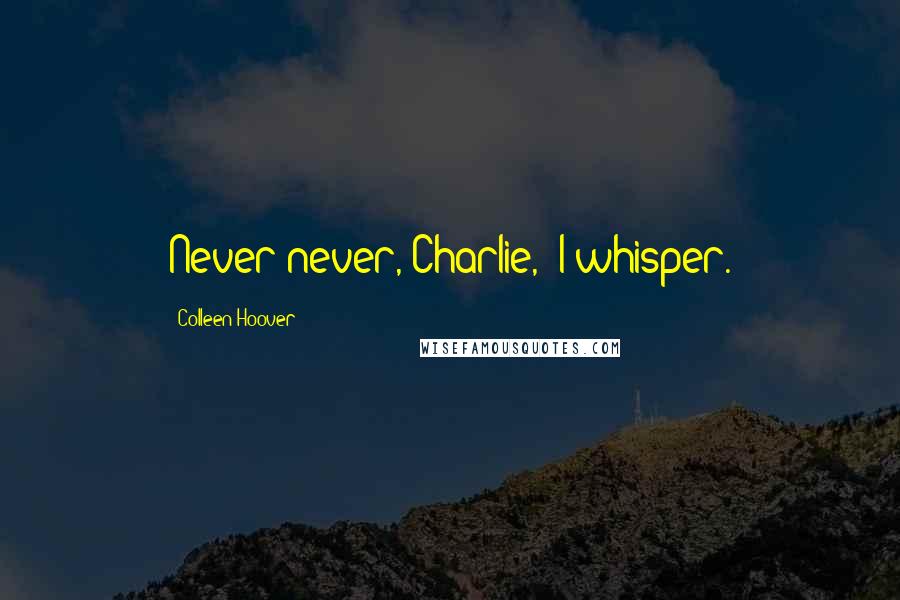 Colleen Hoover Quotes: Never never, Charlie," I whisper.