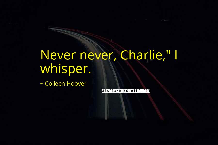 Colleen Hoover Quotes: Never never, Charlie," I whisper.