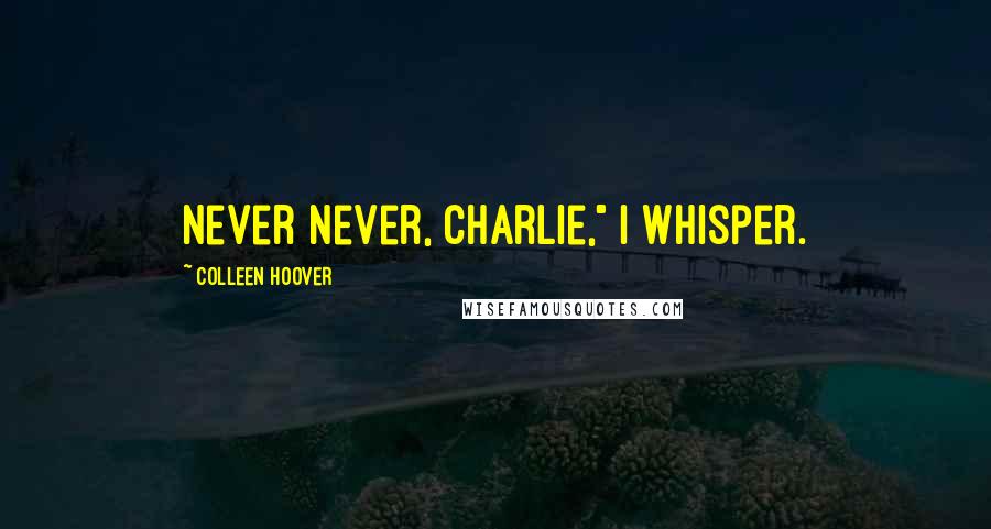 Colleen Hoover Quotes: Never never, Charlie," I whisper.