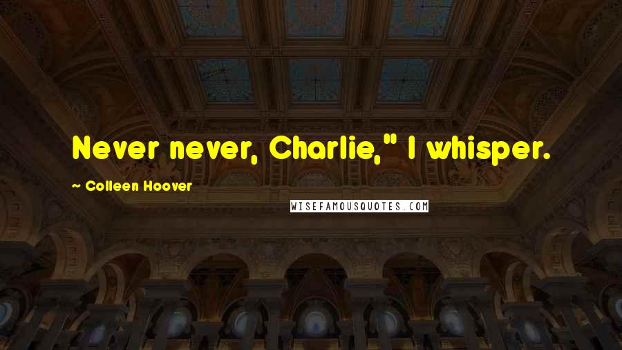 Colleen Hoover Quotes: Never never, Charlie," I whisper.