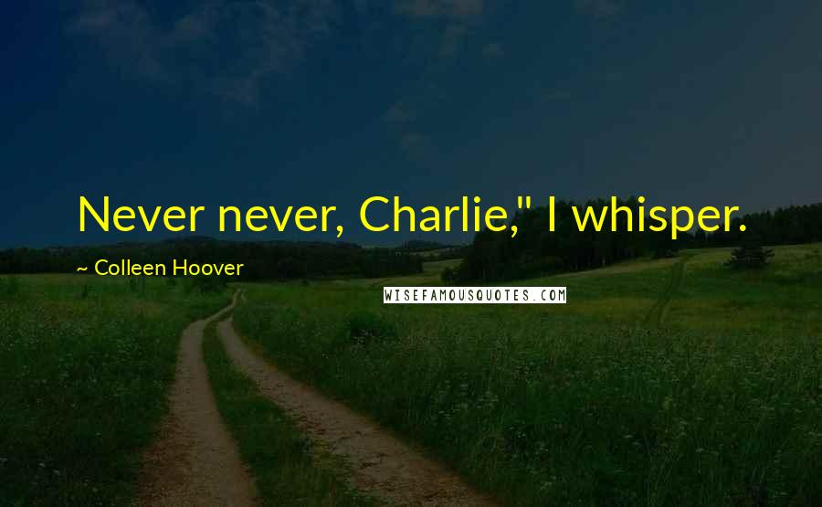 Colleen Hoover Quotes: Never never, Charlie," I whisper.