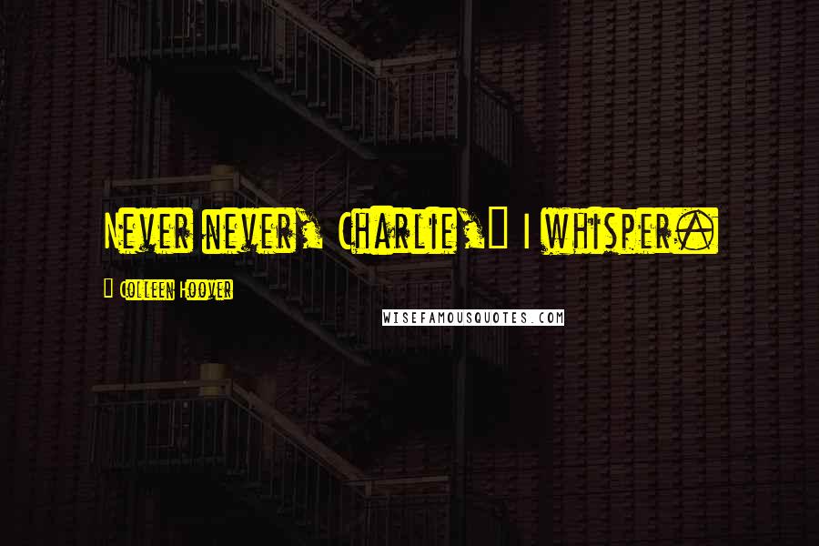 Colleen Hoover Quotes: Never never, Charlie," I whisper.