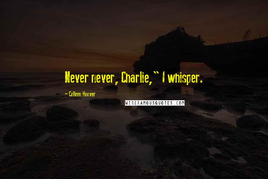 Colleen Hoover Quotes: Never never, Charlie," I whisper.